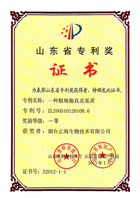 山东省专利奖
