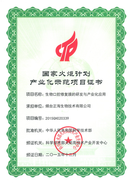 国家火炬计划